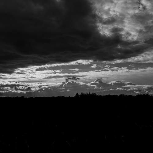 Photo #13736813