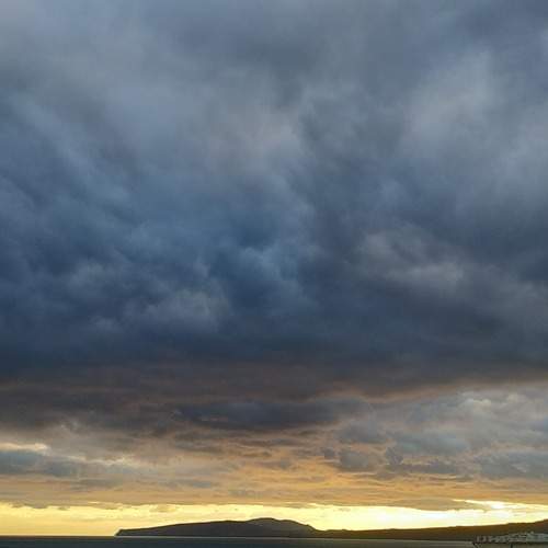 Photo #13736824