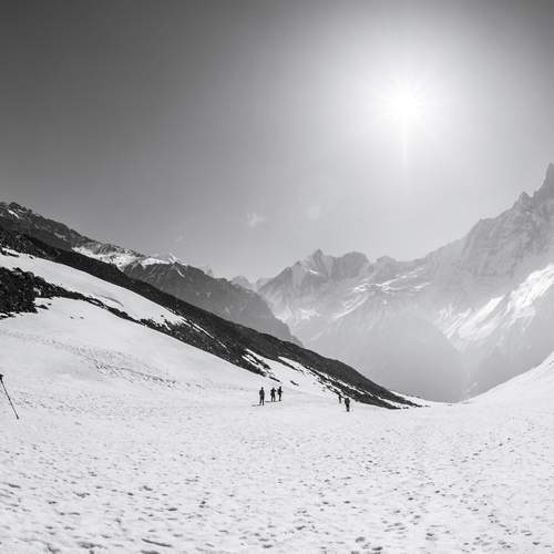 Across the White
