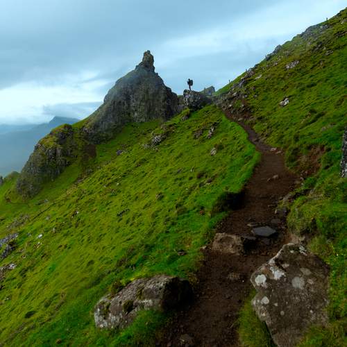The Long Way Forward