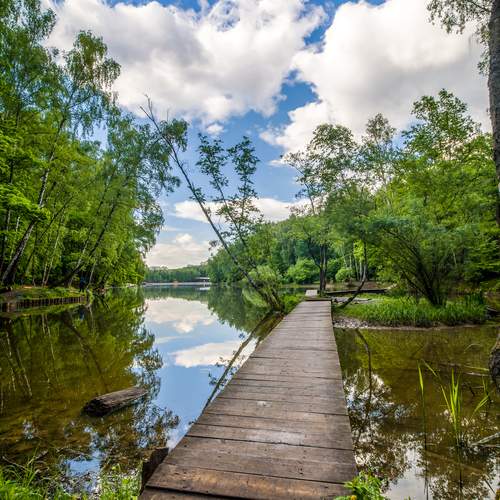 Photo #13736842