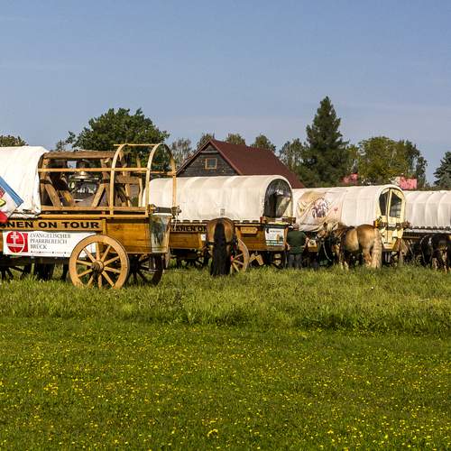 Photo #13736864