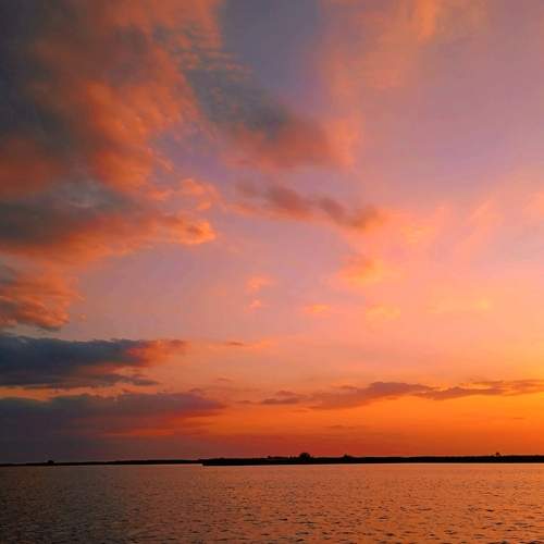 Photo #13736885