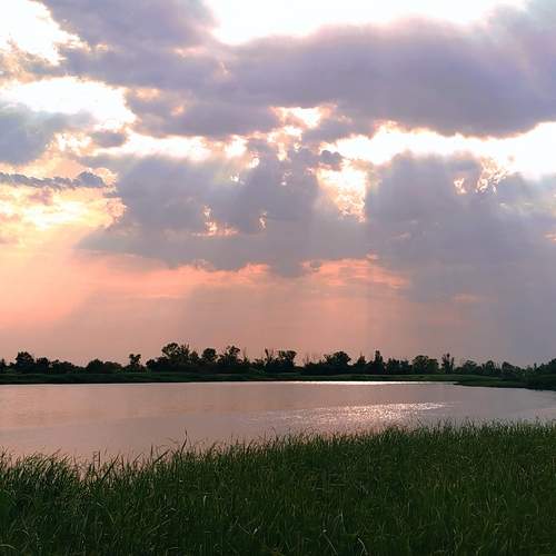 Photo #13736889