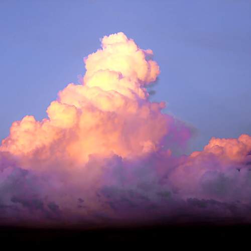 Photo #13736897