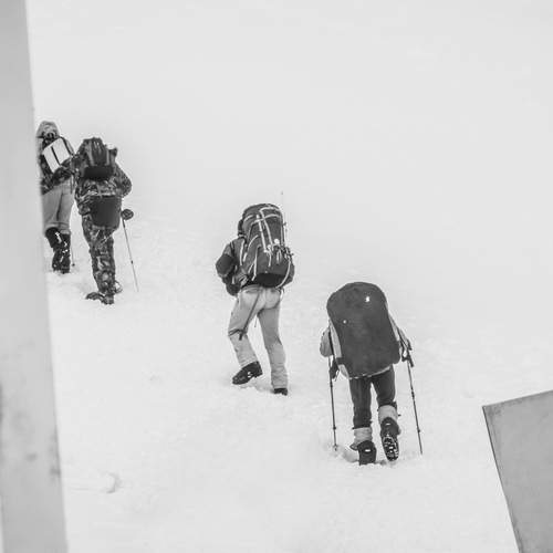 Photo #13736920