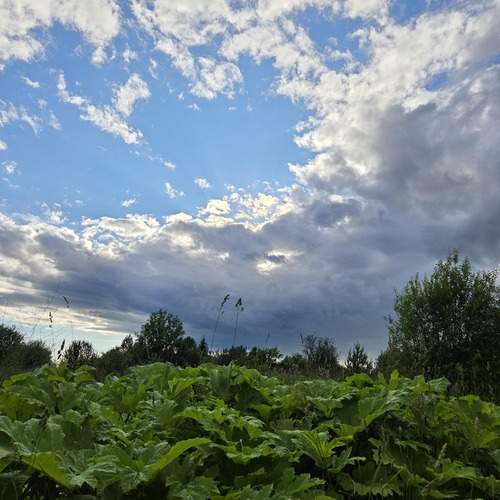 Photo #13736944
