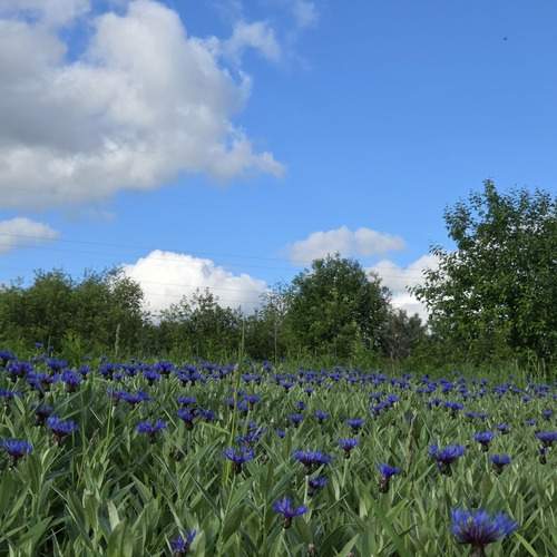 Photo #13736945