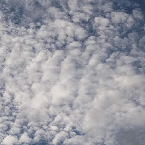 Photo #13736982