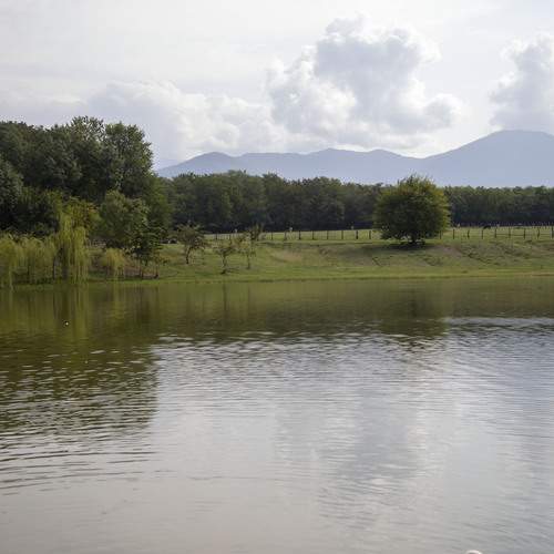 Photo #13736989