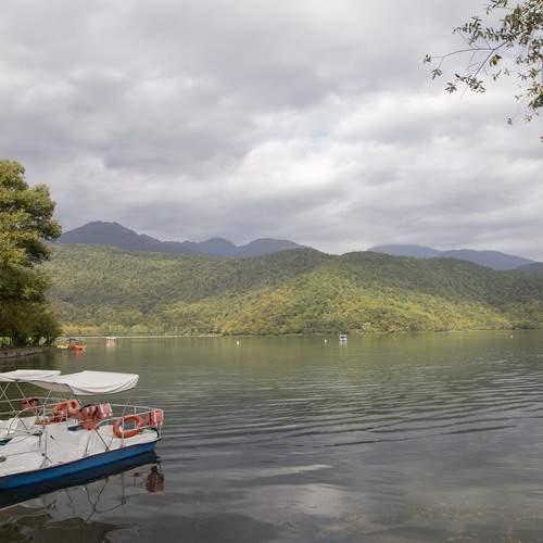 Photo #13736991