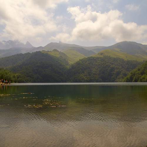 Photo #13737001