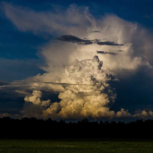 Photo #13737014
