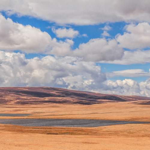 Photo #13737023