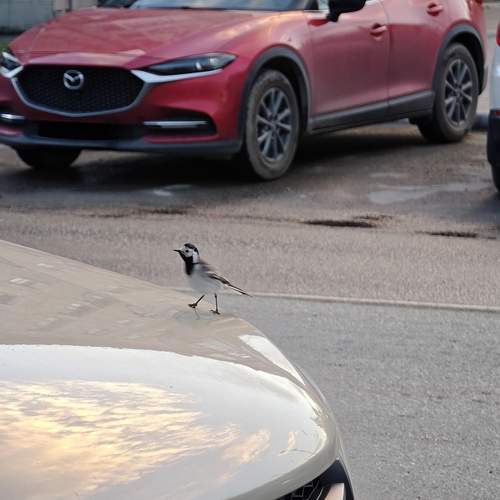 Photo #13737043