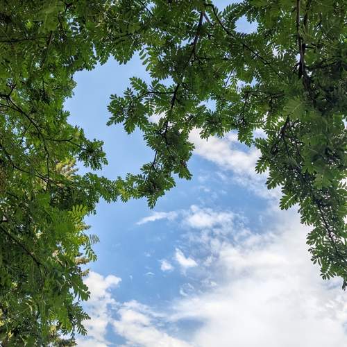 Photo #13737080
