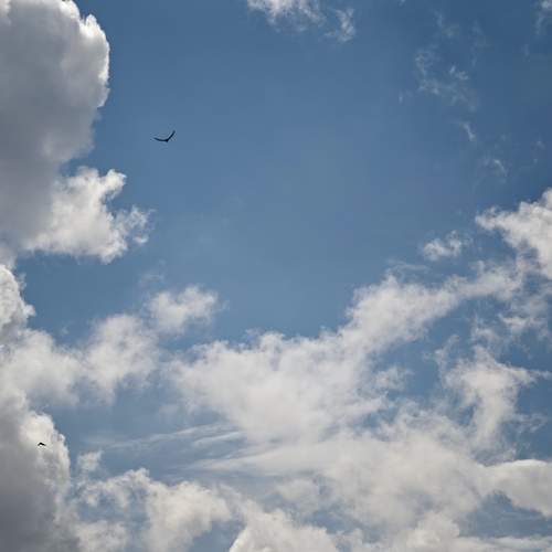 Photo #13737081