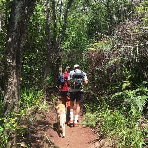 Photo #13737086