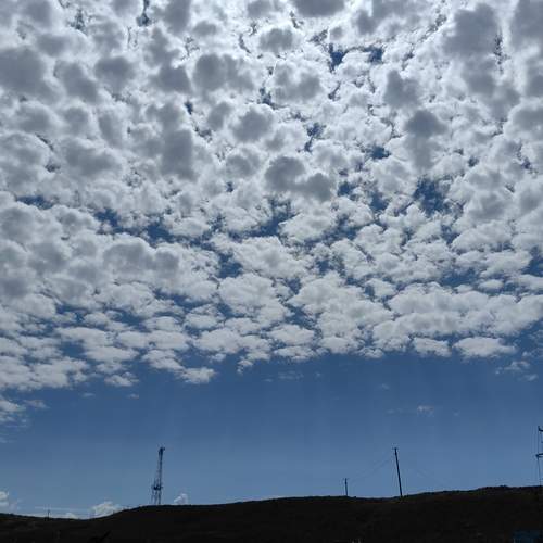 Photo #13737108