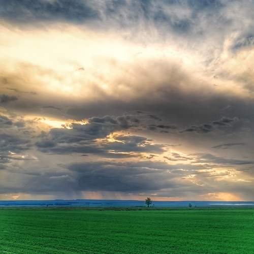 Photo #13737113
