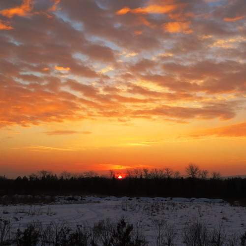 Photo #13737120