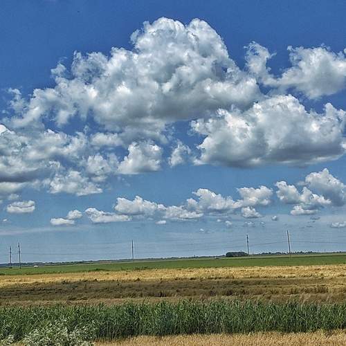 Photo #13737134