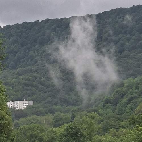Photo #13737158