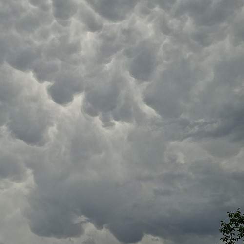 Photo #13737159