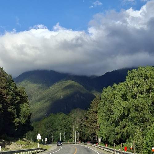 Photo #13737160