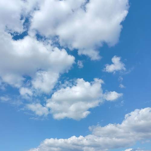 Photo #13737198