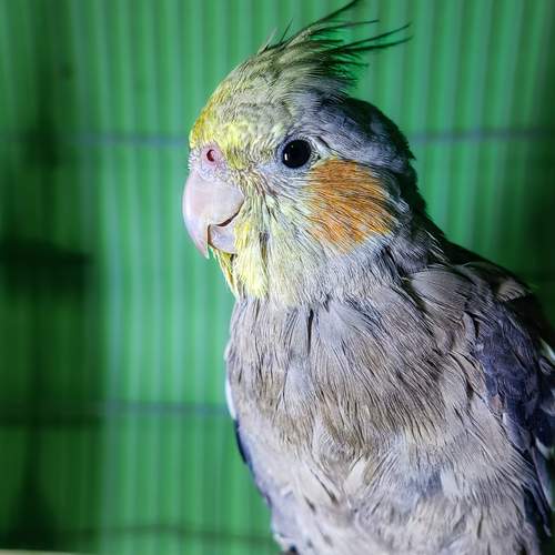 Photo #13737201