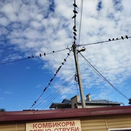 Photo #13737215