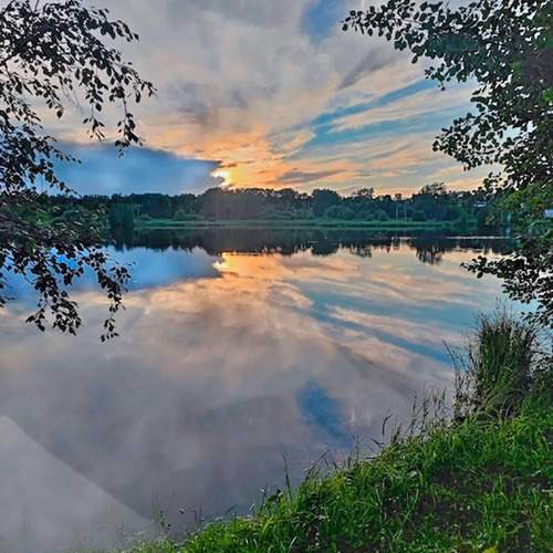 Photo #13737240