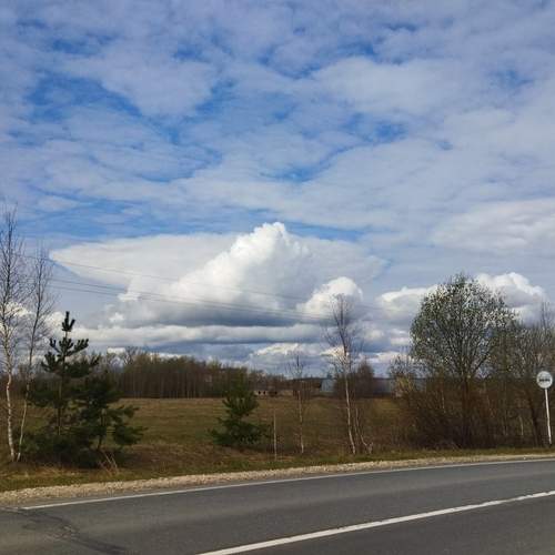 Photo #13737241