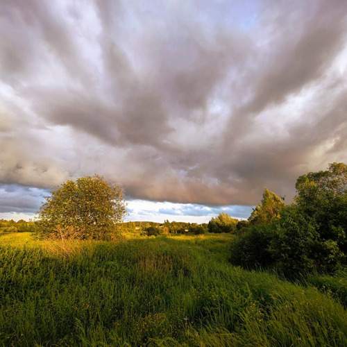 Photo #13737252