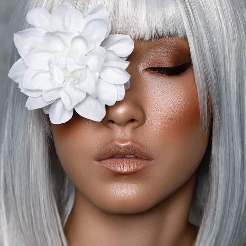 Photo #13737262