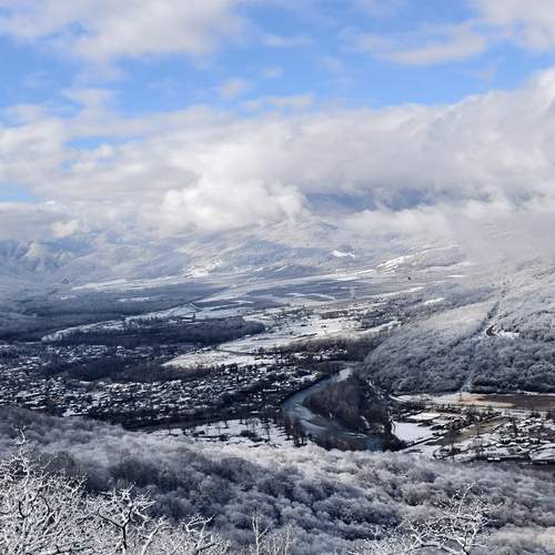 Photo #13737272