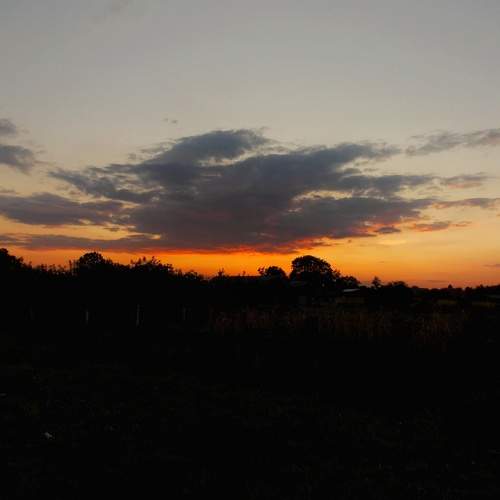 Photo #13737276