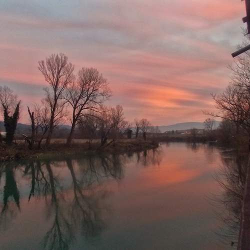 Photo #13737282