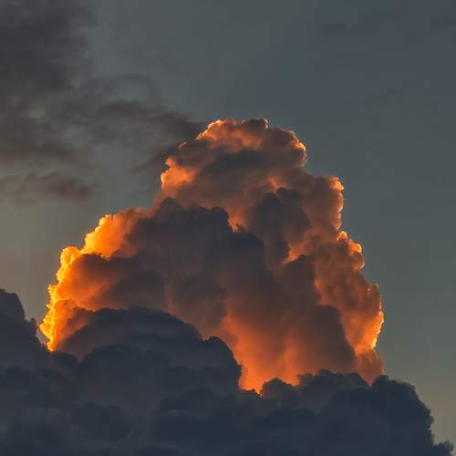 Sunset Silhouette