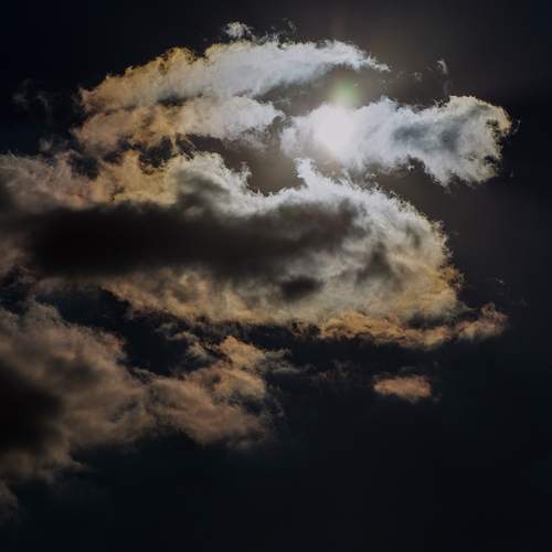 Photo #13737295