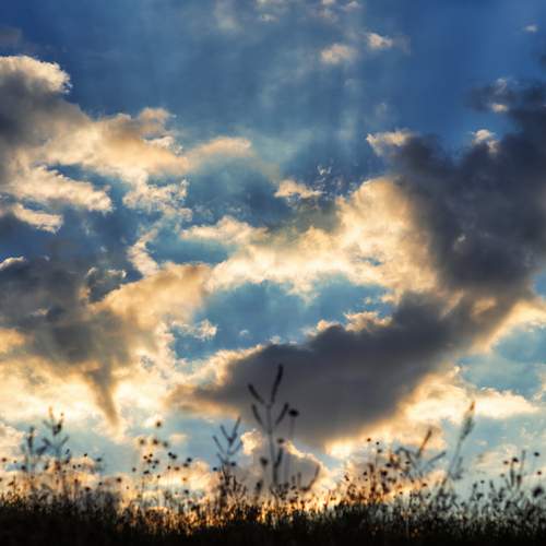 Photo #13737296