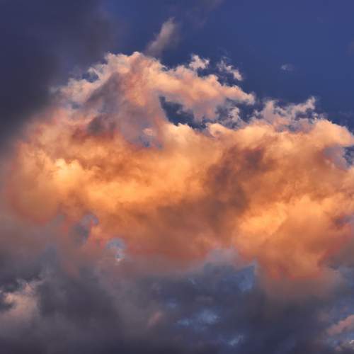 Photo #13737297