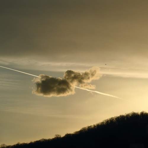 Photo #13737299