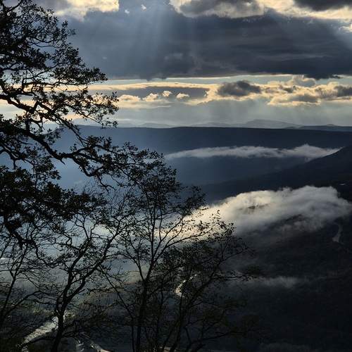 Photo #13737309