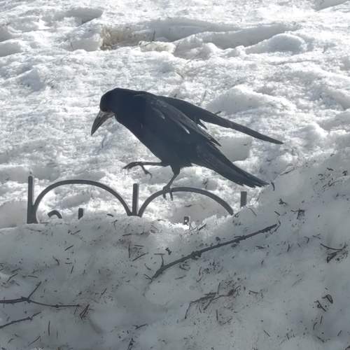 Photo #13737318
