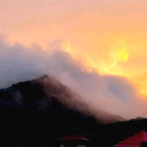 Photo #13737322