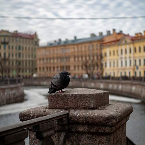 Photo #13737329