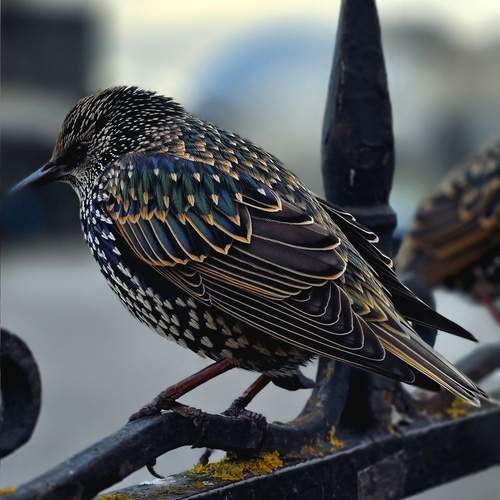Photo #13737336