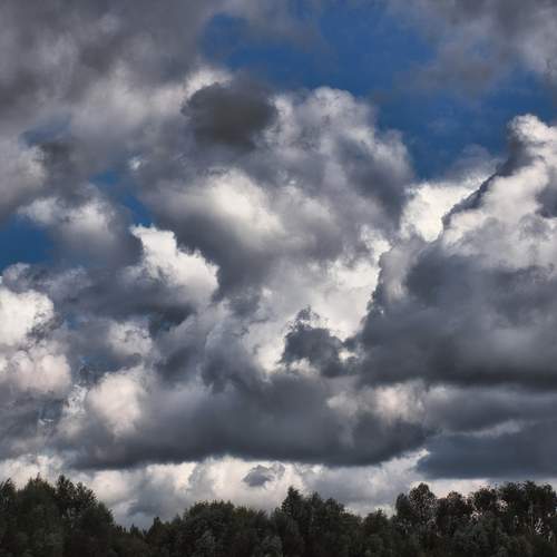 Photo #13737342